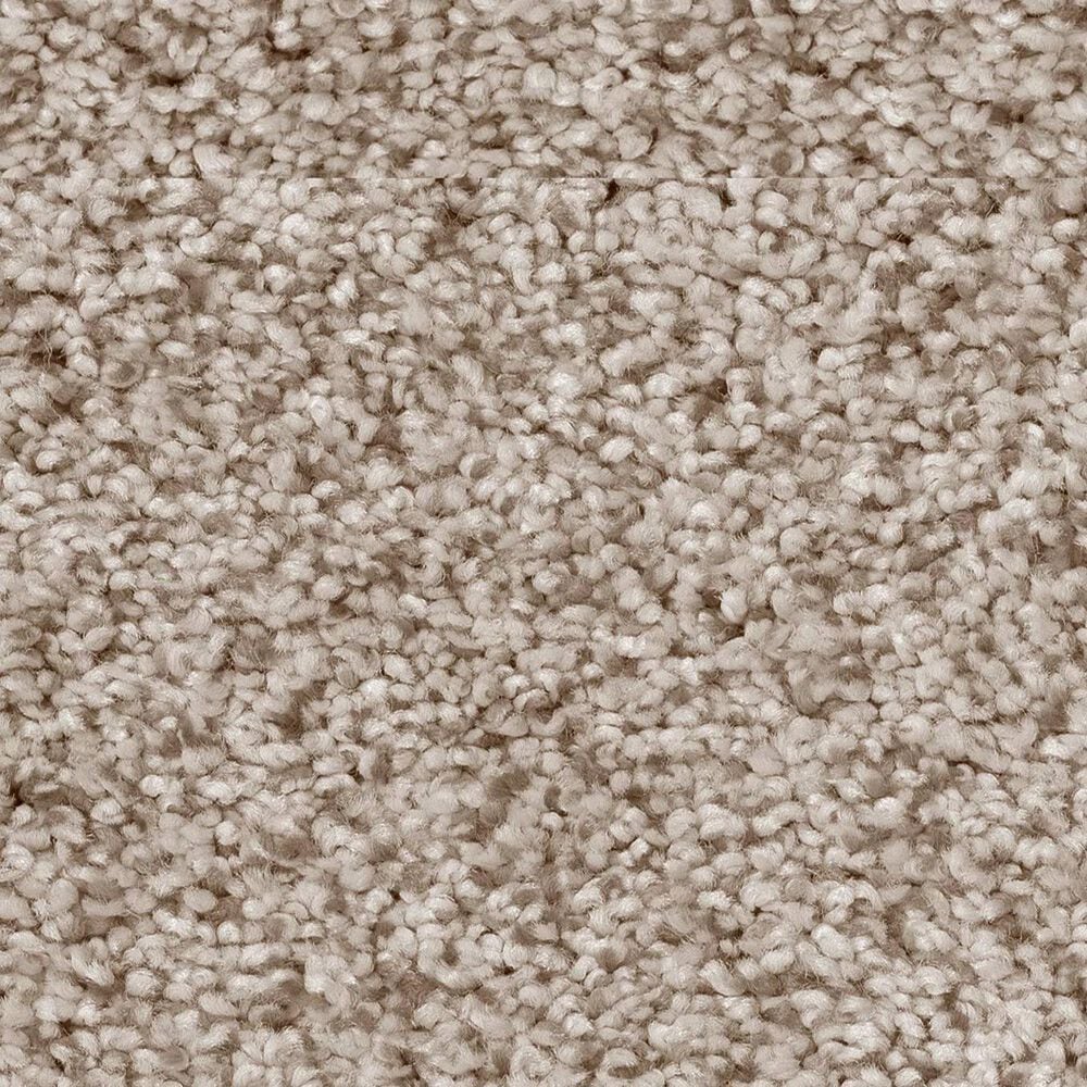 Anderson Tuftex Sumptuous II Carpet in Cliff, , large