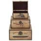 Maple and Jade 3-Piece Transportation Vintage Decorative Trunk in Matte Brown and Gold, , large
