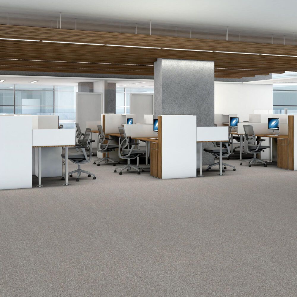 Shaw Yes You Can III Carpet in Frozen, , large
