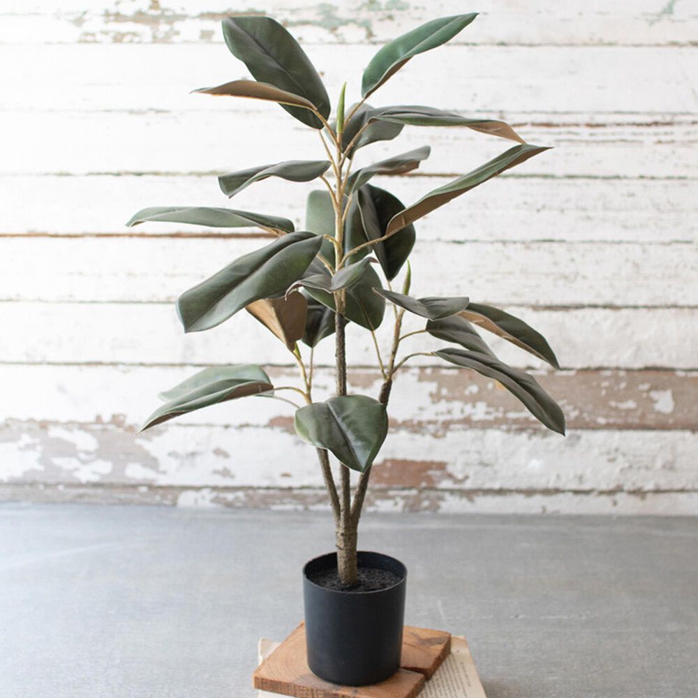 Kalalou Artificial Potted Magnolia in Green and Black, , large