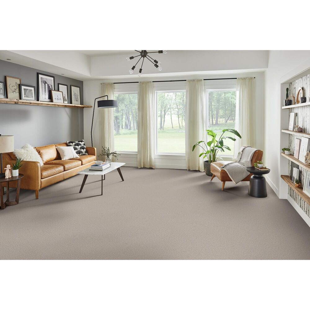 Phenix Naples Carpet in Coastline, , large