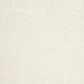 Safavieh Athens Shag SGA119B-10 10" x 14" White Area Rug, , large