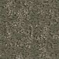 Shaw Home Within Carpet in Rerooted Nature, , large