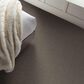 Shaw Without Limits II Carpet in Travatan, , large