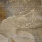 Dalyn Rug Company Odyssey 3" x 5" Chocolate Area Rug, , large