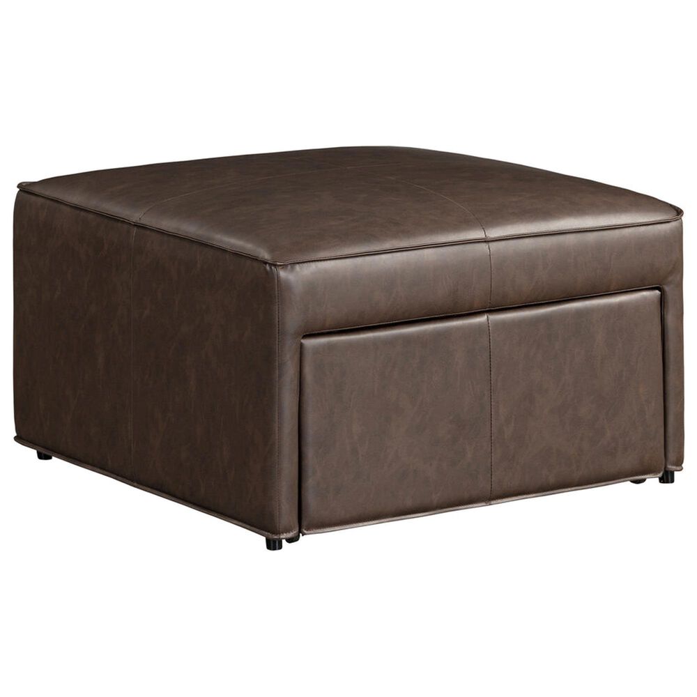 Lifestyle Solutions Hailey Storage Ottoman in Brown, , large