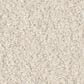 Shaw Way To Go II Carpet in Antique Ivory, , large