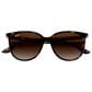 Rayban Glasses Sunglasses with Gradient Brown Lenses in Polished Havana, , large
