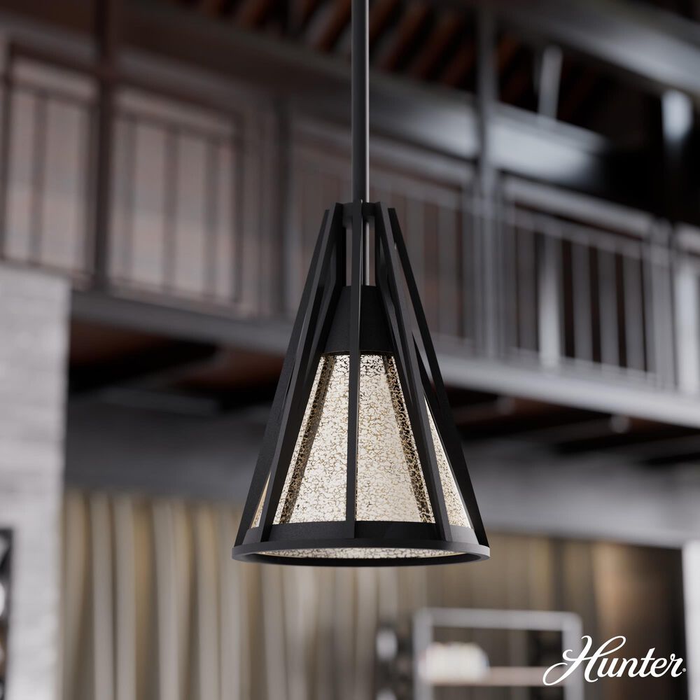 Hunter Rafner 1-Light Mini Pendant in Natural Iron, , large