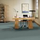 Anderson Tuftex Wyndham Estate Carpet in Splashy, , large