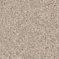 Anderson Tuftex Enchanting Carpet in Sandshell, , large