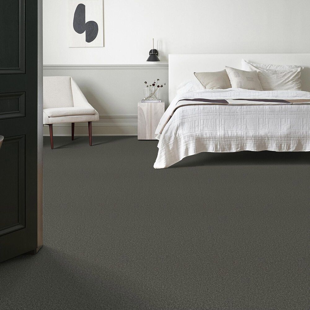Anderson Tuftex Somerset Carpet in Rock Bottom, , large