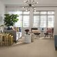 Anderson Tuftex Artistry Carpet in Morning Light, , large
