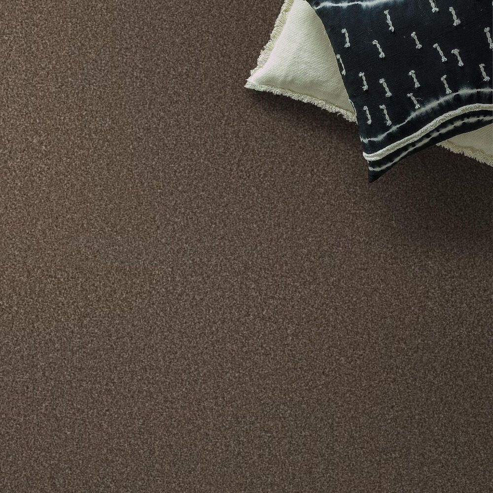 Anderson Tuftex Cypress Falls Carpet in Grizzly, , large