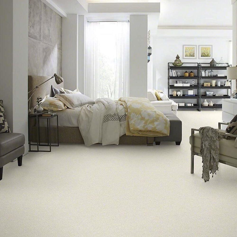 Anderson Tuftex Barracan Classic IV Carpet in Icelandic, , large