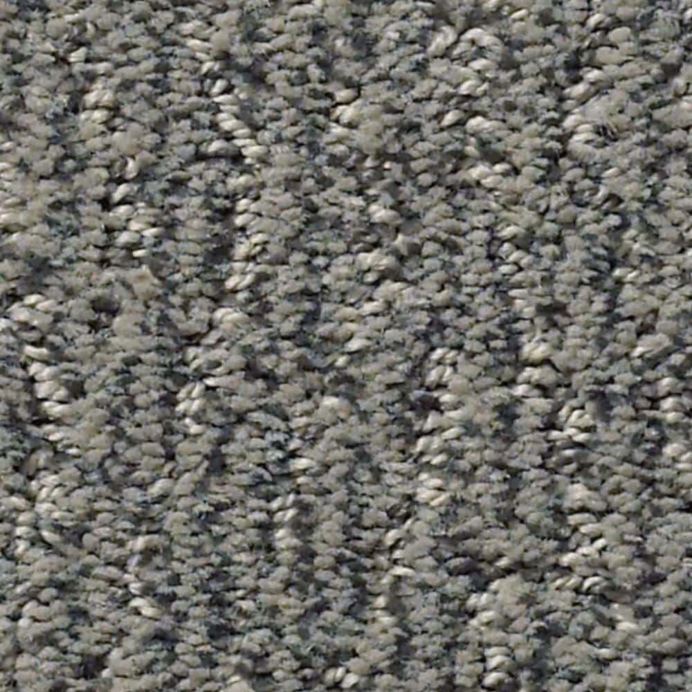 Anderson Tuftex Fur-Ever Carpet in Kendall, , large