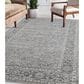 Amer Rugs Inara 4" x 6" Light Gray Area Rug, , large