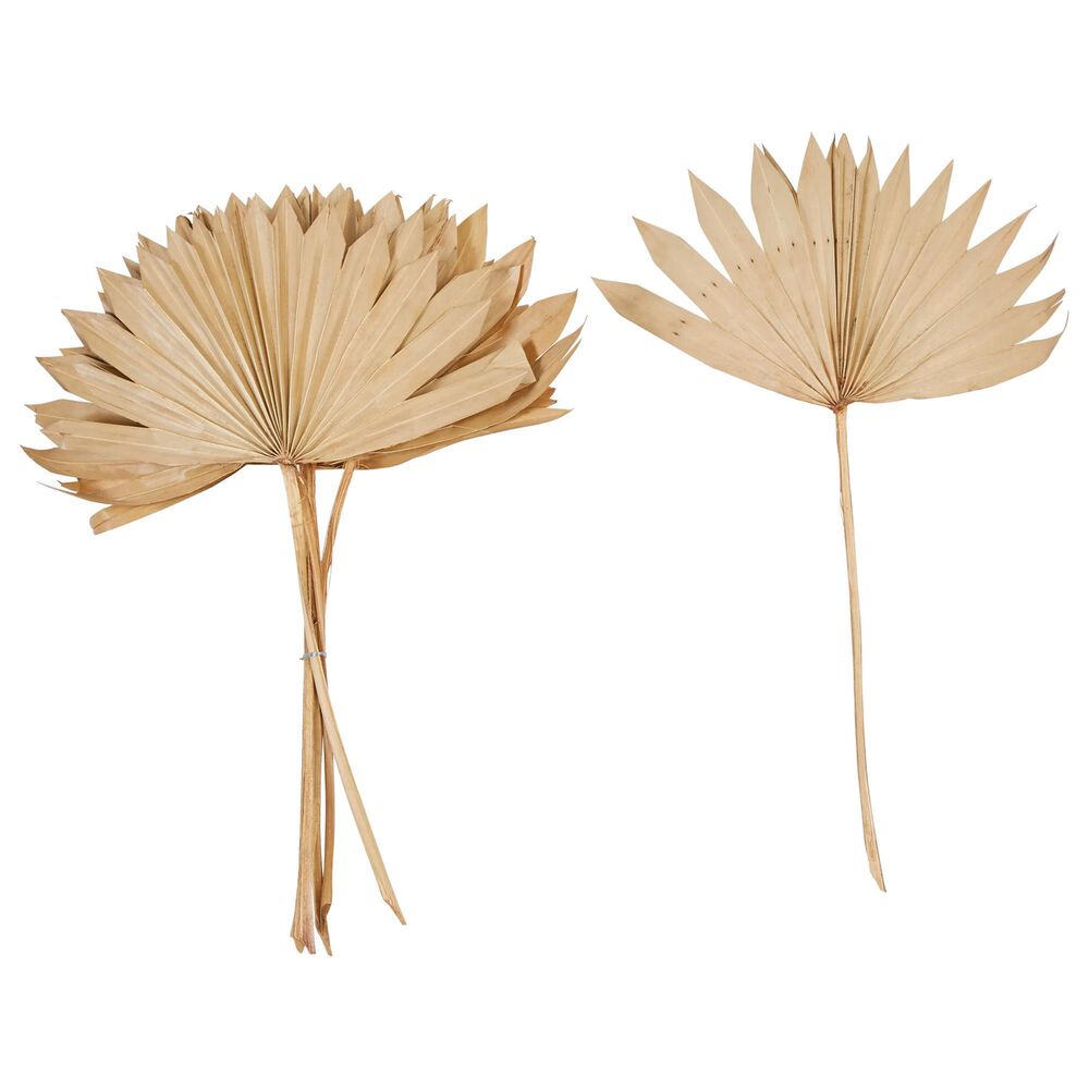 Teak Interiors Dried Palm Bunch in Natural (Set of 6), , large