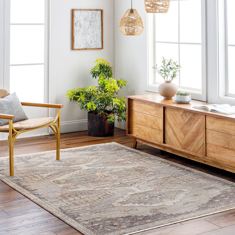 Surya Aida AAD-2303 8&#39;10&quot; x 13&#39; Beige, Tan, Gray, Ivory and Medium Gray Area Rug, , large