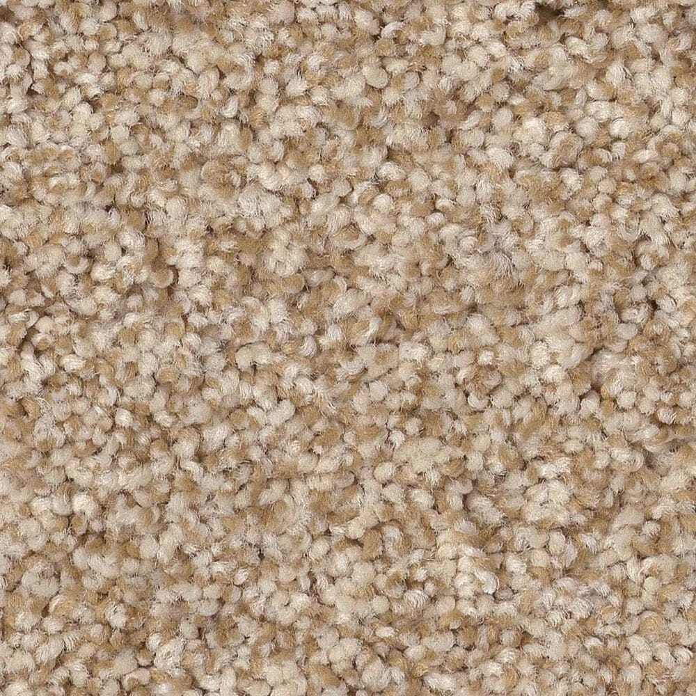 Anderson Tuftex Terra Nova Carpet in Reed, , large