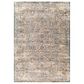 Surya Aspendos 6"7" x 9"6" Denim, Gray, Wheat, Taupe, Black and Cream Area Rug, , large