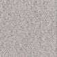 Anderson Tuftex Luxe Feel II Carpet in Silver Lining, , large