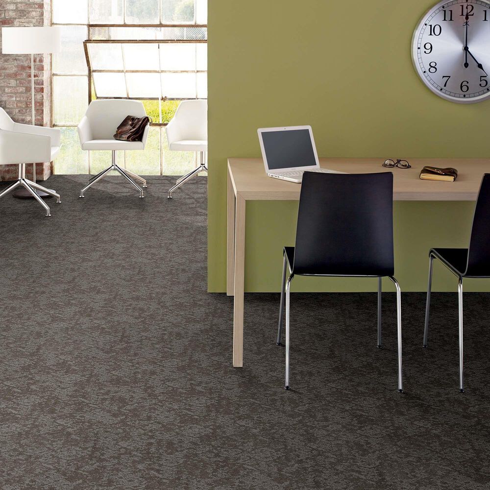 Philadelphia Caress Free Spirit Carpet in Grounded Gray, , large