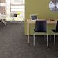 Philadelphia Caress Free Spirit Carpet in Grounded Gray, , large