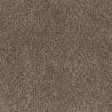 Dixie Home Bolt Carpet in Ranch, , large