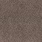 Dixie Home Bolt Carpet in Ranch, , large