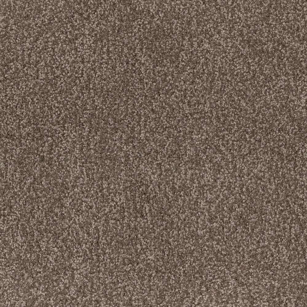 Dixie Home Bolt Carpet in Ranch, , large