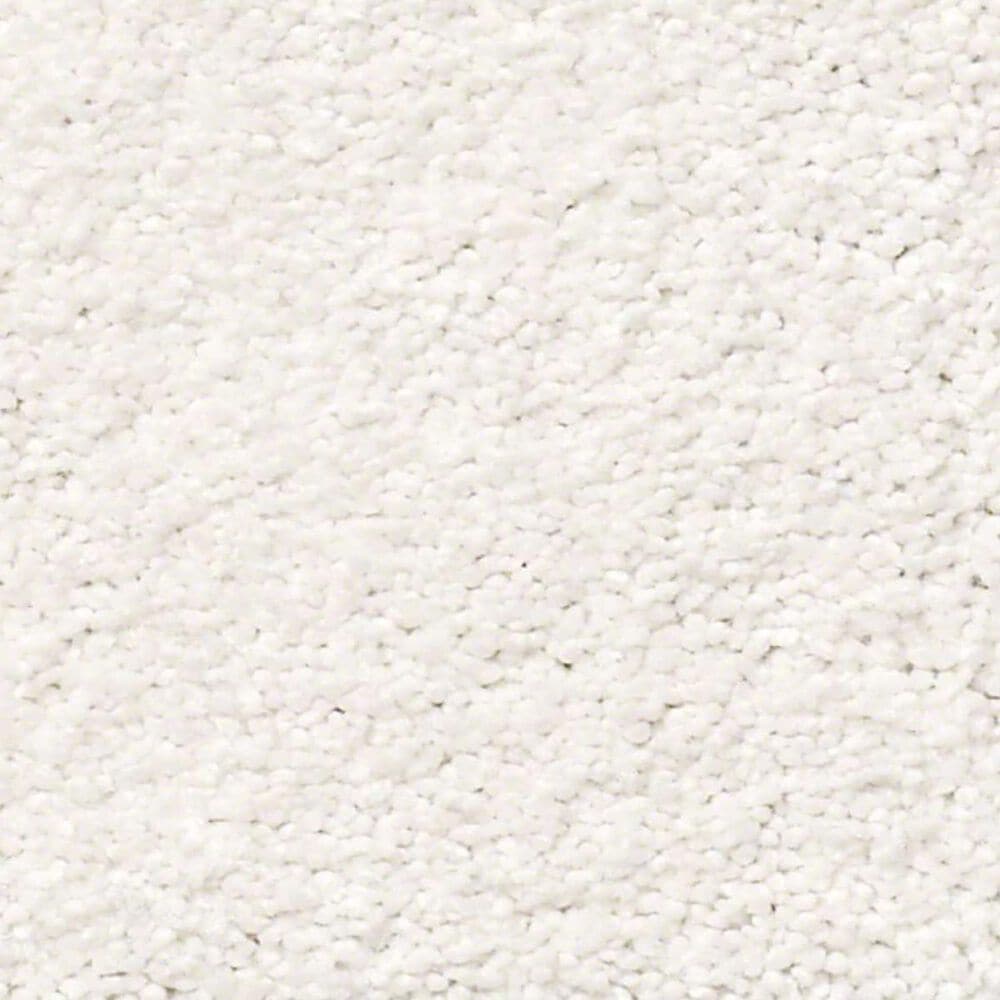 Shaw Find Your Comfort NS I Carpet in Neighborhood Bistro, , large