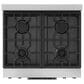 Thor Kitchen Gordon Ramsay 4.55 Cu. Ft. 30" Professional Natural Gas Range with Black Handle Kit in Stainless Steel, , large