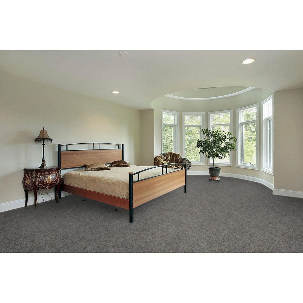 Dream Weaver Rustic Retreat II 4455 Carpet in Blueberry Field, , large