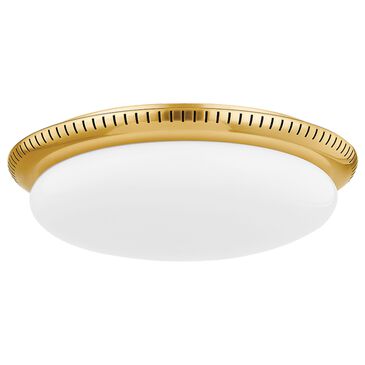 Hudson Valley Lighting North Castle 14.25" 1-Light Flush Mount in Aged Brass, , large