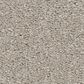 Philadelphia Champagne Taste II Carpet in Rock Crystal, , large