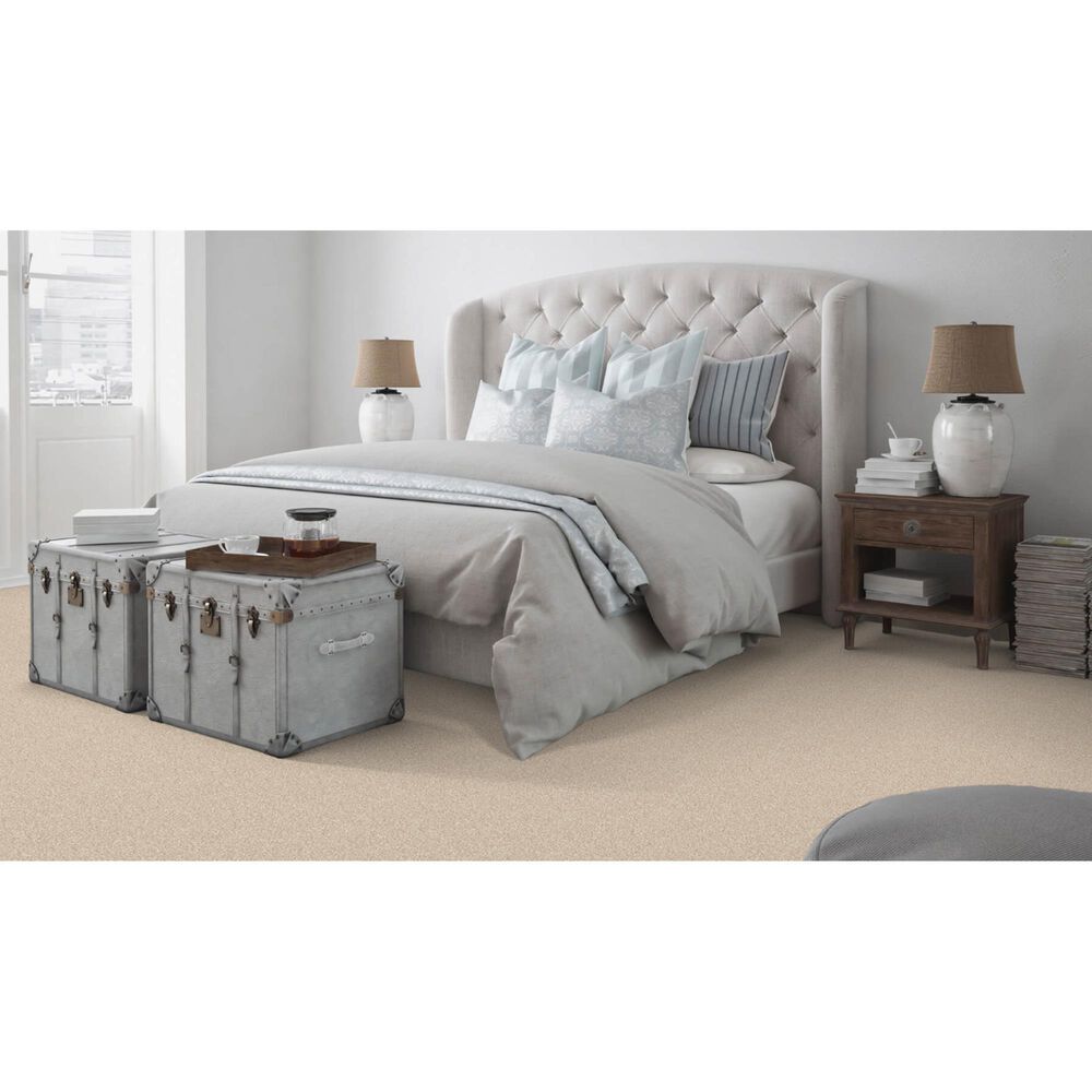 Dixie Home Bella Carpet in Bulldog, , large