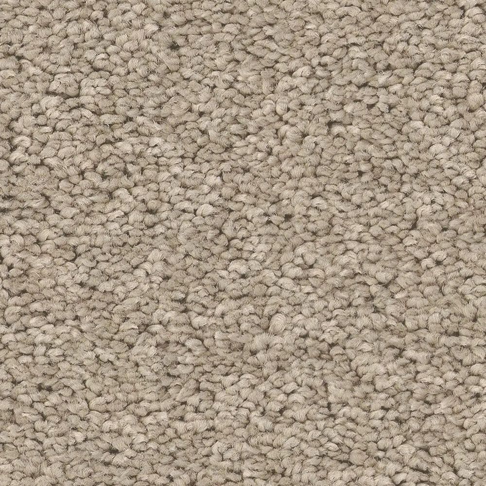 Philadelphia Champagne Taste I Carpet in Chic Greige, , large