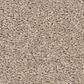 Philadelphia Champagne Taste I Carpet in Chic Greige, , large