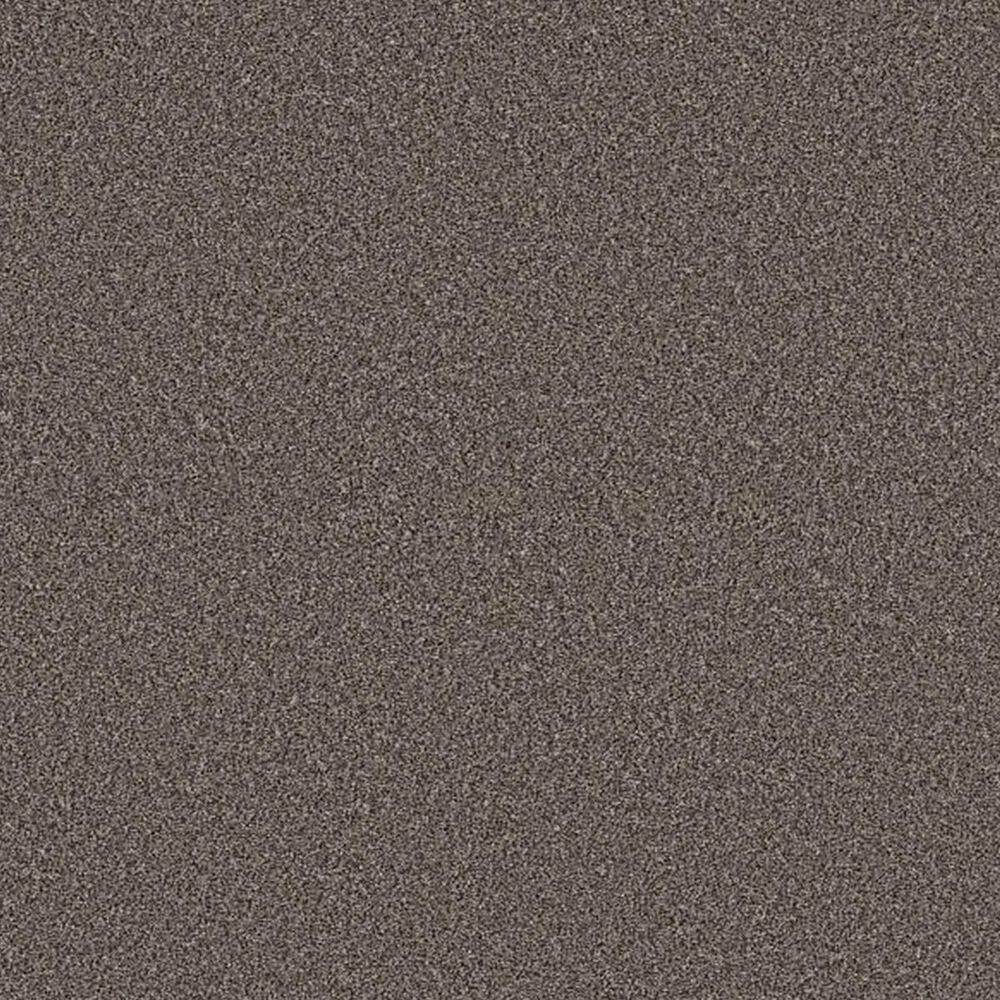 Shaw Artistic Fusion I Carpet in Cafe Noir, , large