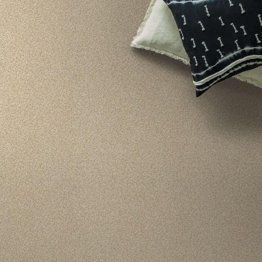 Shaw Tonal Comfort Ii Carpet in Sun Kissed, , large