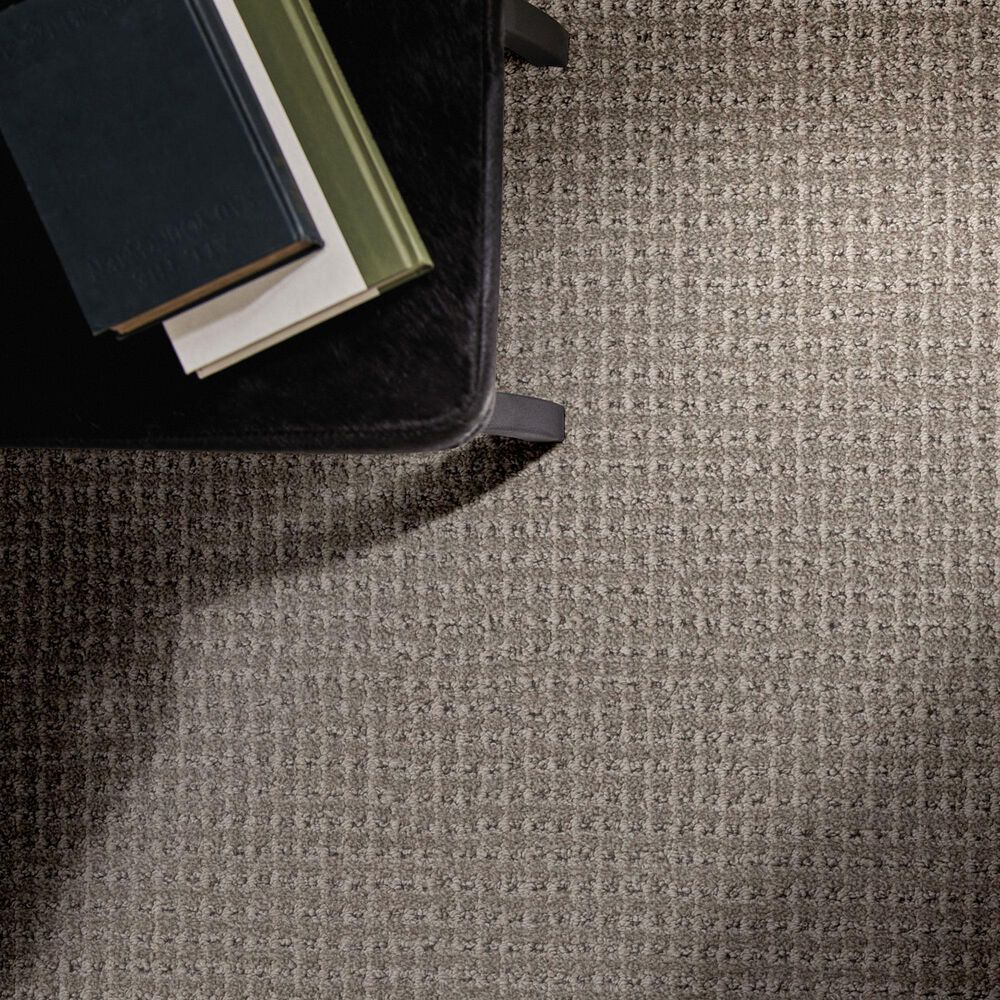 Anderson Tuftex Rhode Carpet in Fish Hook, , large