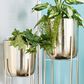Maple and Jade Dome Indoor/Outdoor Planter with Removable Stand in Polished Silver (Set of 2), , large