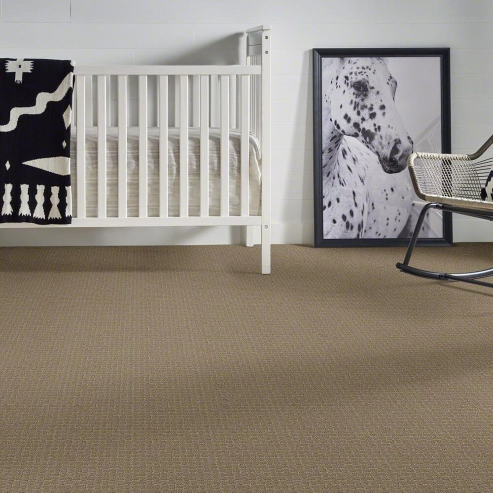 Anderson Tuftex Pawstruck Carpet in Driftwood, , large