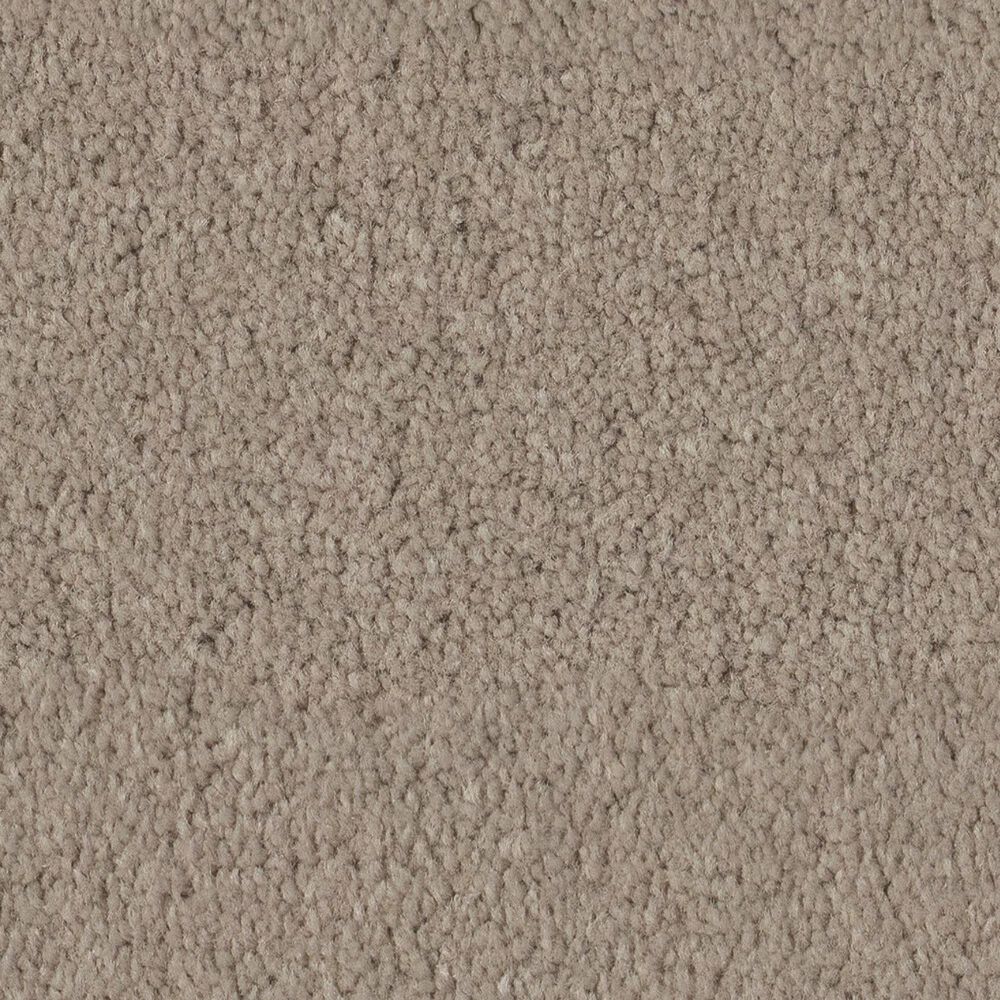 Anderson Tuftex Finery Carpet in Dusty Trail, , large