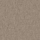 Anderson Tuftex Finery Carpet in Dusty Trail, , large