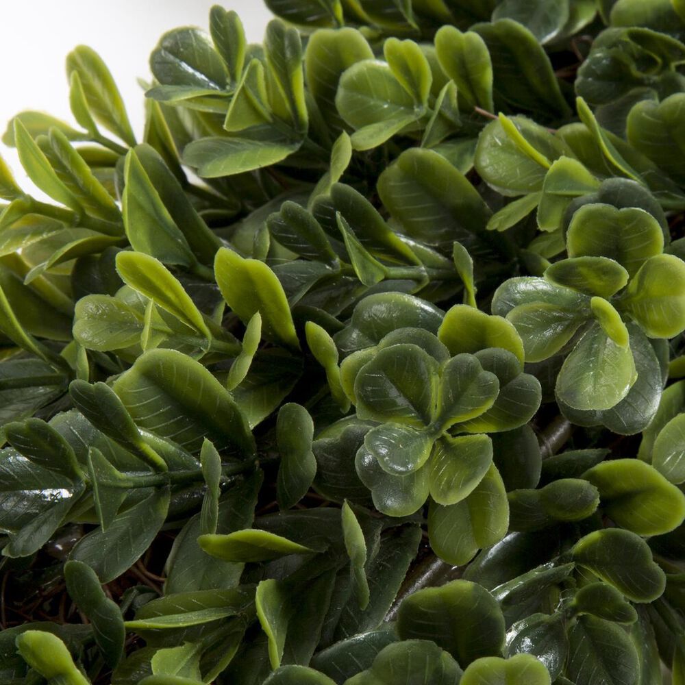 Timberlake 16.5&quot; Square Boxwood Wreath in Green, , large