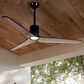 Minka-Aire Tempri 56" Indoor/Outdoor Ceiling Fan with LED Light in Coal, , large