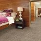 Shaw Sound Advice Carpet in Make It Work, , large