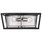 Golden Lighting Mercer Flush Mount in Black with Seeded Glass, , large